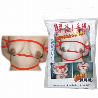 �ȒP��돬�蔛��@�i�ԁj�iSM�E�S����j