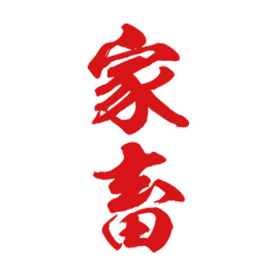 �^�g�D�[�V�[���@�ƒ{�i�ԏc�����j�@���T�C�Y�i�^�g�D�[�E�h�V�[���j