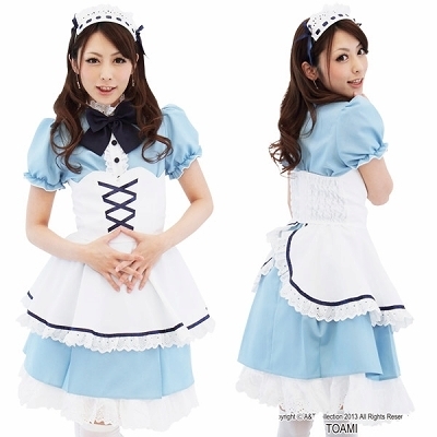 �y���V�����u���[���C�h�i�R�X�`���[���j