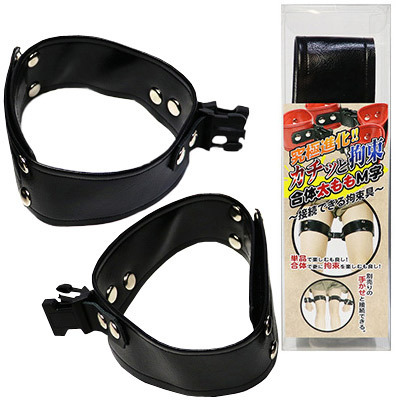 �J�`�b�ƍS�����́@�������l���@�i�u���b�N�j�iSM�E�S����j