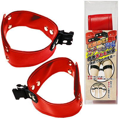 �J�`�b�ƍS�����́@�������l���@�i���b�h�j�iSM�E�S����j