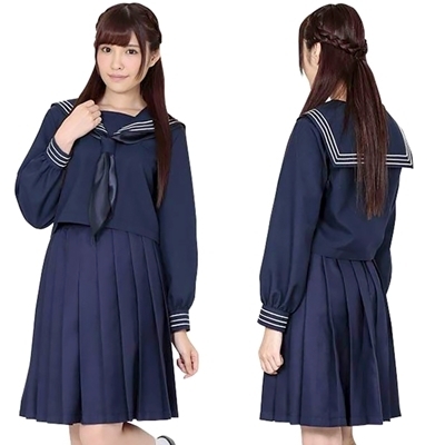 �w�Z�����@�����������i�R�X�`���[���j