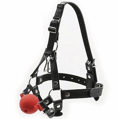 ���r�l�@�u�h�o���@�t�b�N�{�[���M���O�n�[�l�X�@�i�ԁj�iSM�E�S����j