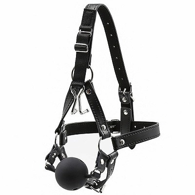 ���r�l�@�u�h�o���@�t�b�N�{�[���M���O�n�[�l�X�@�i���j�iSM�E�S����j