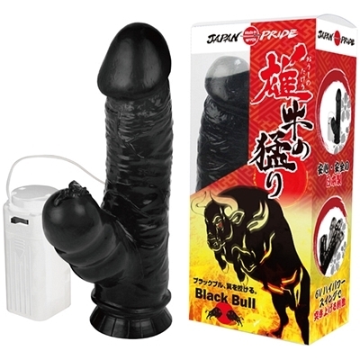 �Y���̖҂�i�������̂�����j�i�o�C�u�j