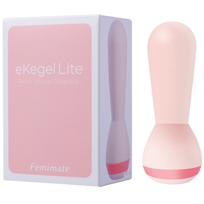 �t�F�~���C�g�@�����������@�k�������i�C�[�P�[�Q�����C�g�j�i����A�C�e���j