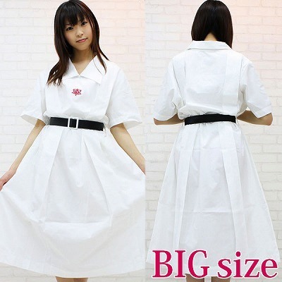 �_�˂̏��q���w�����i�ĕ��j�@�a�h�f�i�R�X�`���[���j