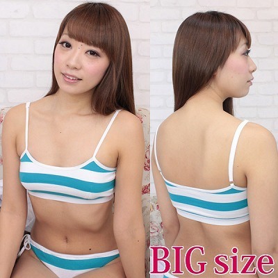 �{�[�_�[�X�|�[�c�u���i���܃X�|�u���j�@�a�h�f�i�R�X�`���[���j