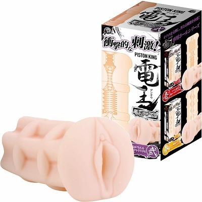 �s�X�g���L���O�d���@��p�z�[���@�i��j�i�I�i�z�[���j