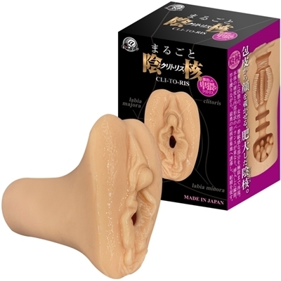 �܂邲�ƉA�j�@�i�N���g���X�j�i�I�i�z�[���j