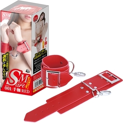 �r�l�������i�X�}�[�g�j�@�P�@�ԁiSM�E�S����j