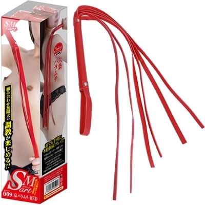 �r�l�������i�X�}�[�g�j�@�X�@�ԁiSM�E�S����j