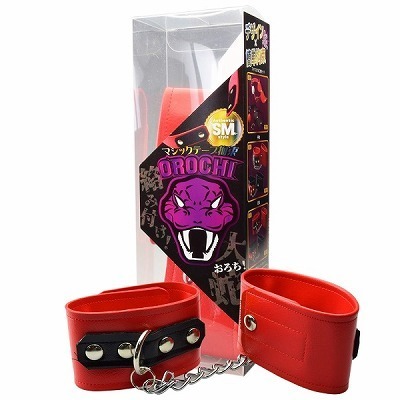 �n�q�n�b�g�h�@��g�@�i�ԁj�iSM�E�S����j