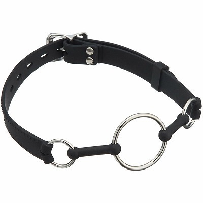 ���v���~�A���@���֌��g�iSM�E�S����j