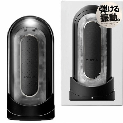 �s�d�m�f�`�@�e�k�h�o�@�O�@�i�G���N�g���j�b�N�o�C�u���[�V�����@�u���b�N�j�i�I�i�z�[���j