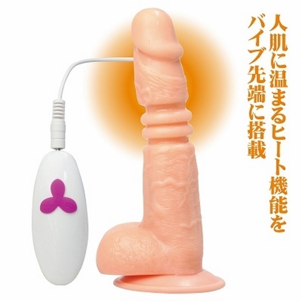 �s�X�g���f�B���h�@�i���e�j�j