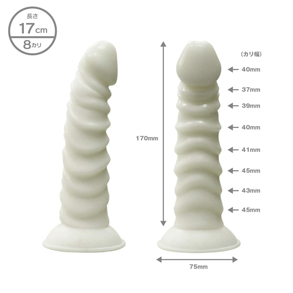 �v���������@�k���������@�������l�@�i�P�V�����j