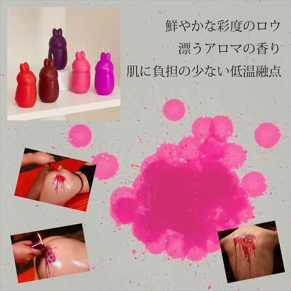 �a�c�r�l�A���}�L�����h���@�s���N�@�i�o�j�����p�b�V�����t���[�c�j