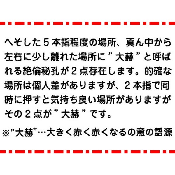 ��όo�����i����񂯂����Ӂj