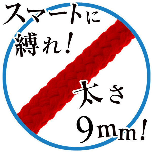 �g���b�N�}�X�^�[�@��