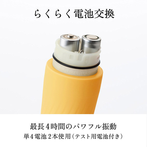 �����������i�C���n�j�@�v���W���[�E�A�C�e���E�[���@�i�x�t�y�t�b�g�`�j