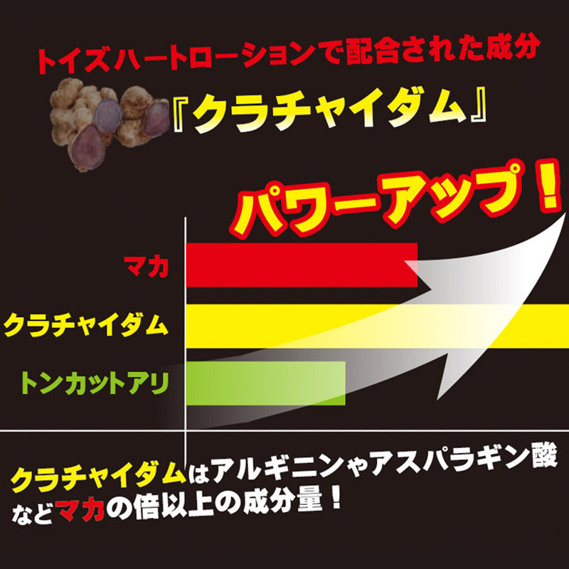 �g�C�Y�n�[�g���[�V�����@�n�[�h�@�R�O�O���k