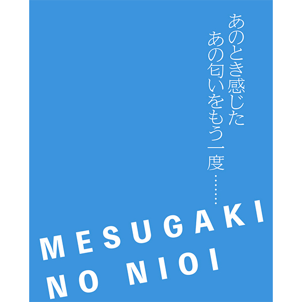 ���X�K�L�̓����@�P�O����
