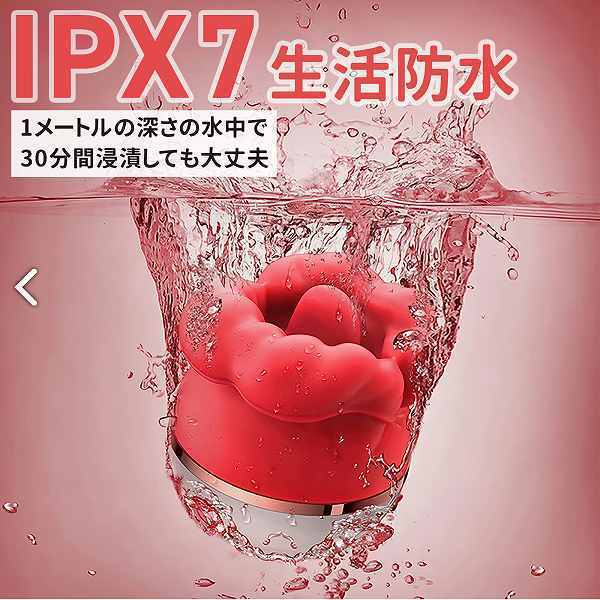 ���z������z���{�y���y���U���u�؂낿��σN���j���[�^�[�v�@�a�����@�l��������