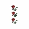 �^�g�D�[�V�[���@�o���P(�^�g�D�[�E�h�V�[��)