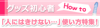 �O�b�Y���S��How to